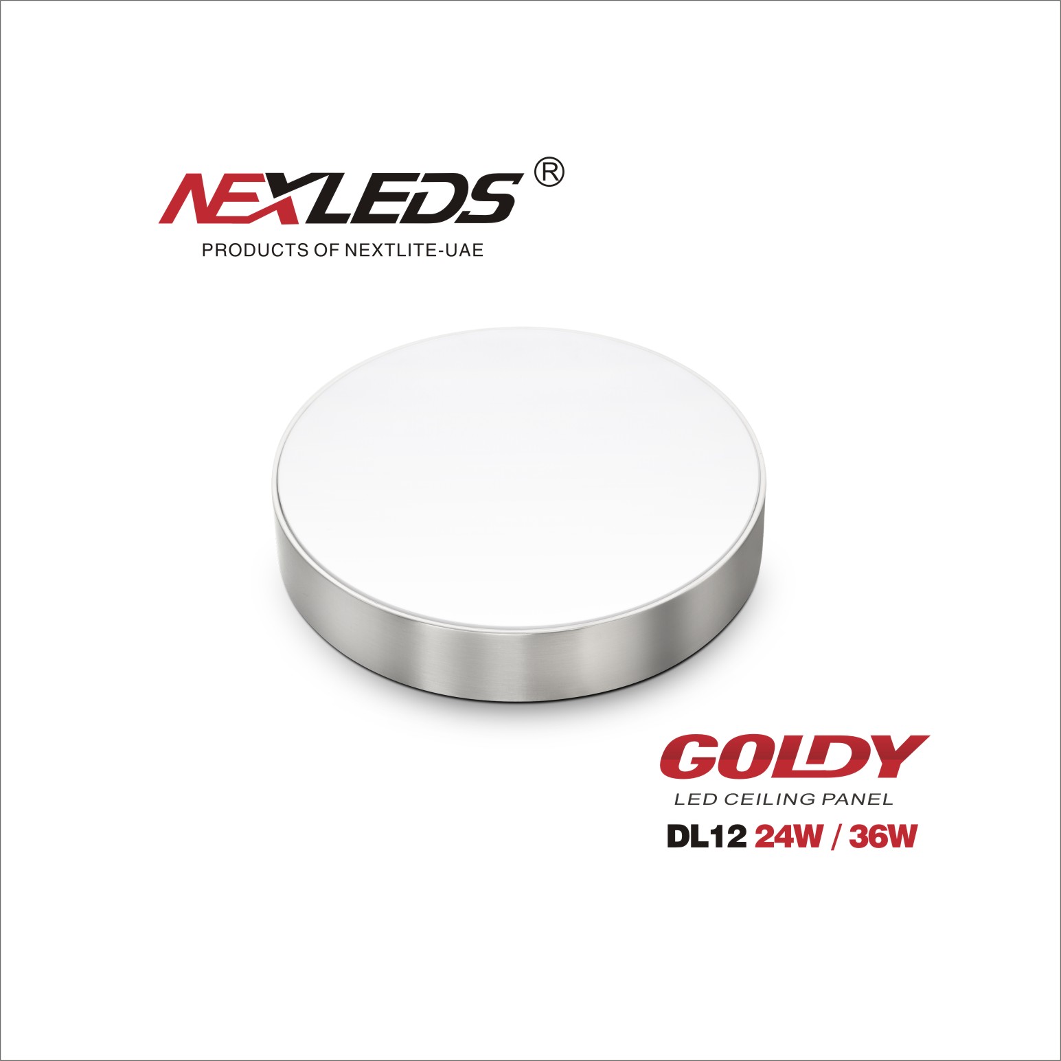 GOLDY DL12 CEILING PANEL